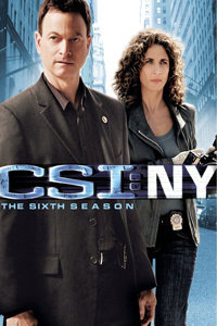 犯罪现场调查纽约第六季