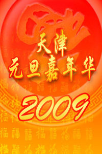天津元旦嘉年华2009