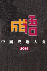 中国成语大会2014