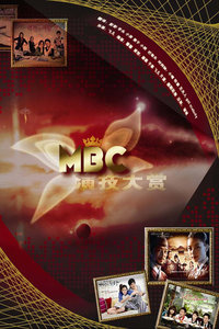 MBC演技大赏2012