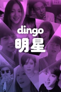 dingo明星2016
