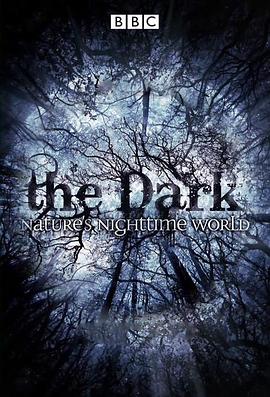 黑暗中的自然界/夜行动物探秘