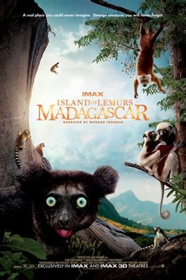 马达加斯加狐猴之岛